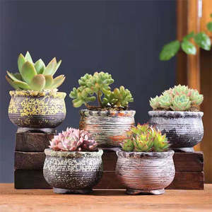 Low Abstract Ceramic Succulent Pots 5 Pack