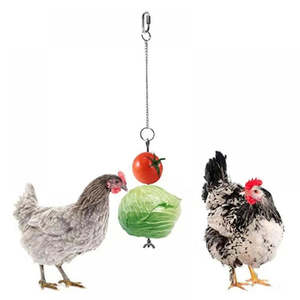 Diy Garden Pet Pet Supplies Bird Feeding Watering Supplies: Stainless Steel Bird Cage Fruit & Veg Holder