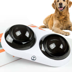 15 Degree Elevated Pet Bowl Double