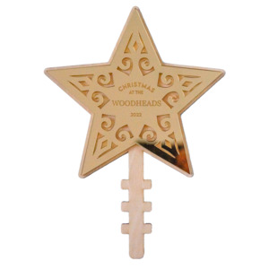 Star Christmas Tree Topper