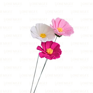 Posies: Cosmos