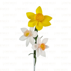 Products: Daffodil