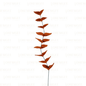 Products: Eucalyptus ‘Dried’ – 1 Stem
