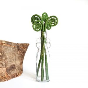 Foliage – Oh Em Gee – Felt Florist: Koru – 3 Stems