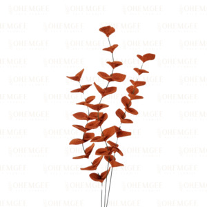 Eucalyptus ‘Dried’ – 3 Stems