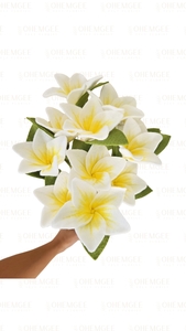 Flowers: Frangipani – 3 stems