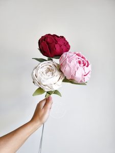 Flowers: Peony – 3 stems