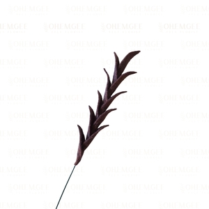 Foliage – Oh Em Gee – Felt Florist: Foliage C