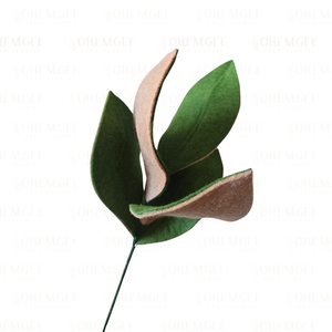 Magnolia – 5 leaf