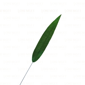 Products: Flax (mini)