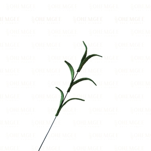 Carnation Foliage