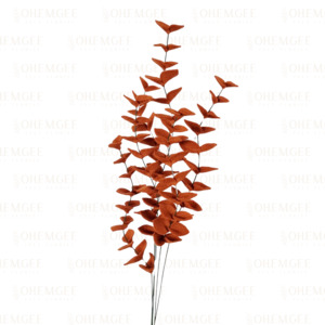 Eucalyptus 'Dried' - Oh Em Gee - Felt Florist: Eucalyptus ‘Dried’ – 6 Stems