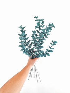 Eucalyptus ‘Dried’ – Oh Em Gee – Felt Florist: Eucalyptus – 3 Stems
