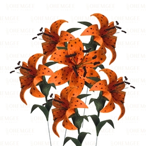 Products: Tiger Lily – 6 stems