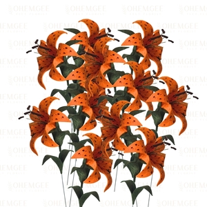 Products: Tiger Lily – DOZEN
