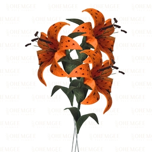 Tiger Lily – 3 stems