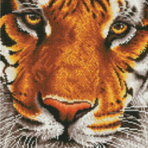 Sweet Crafts Diamond Dotz: Intermediate - Bengal Magic