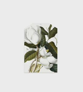 Stationery: Father Rabbit - Gift Tag - Gardenia