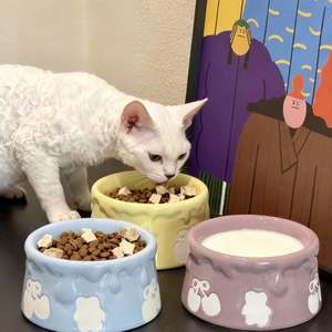 Pre Order Okieepet: Pre-Order: Sweet Drip Ceramic Pet Bowl