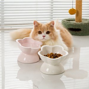 Pre-Order: Elevated Tilted Ceramic Cat Bowl