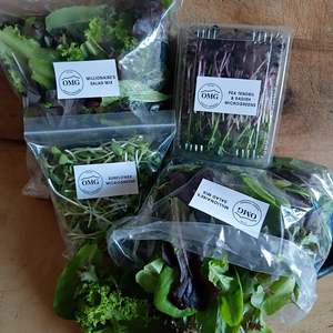 PENZANCE/DUNCAN BAY - $21 Salad Pack + $5 Delivery via Post, THURSDAYS