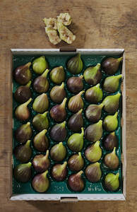 Premium Fig Tray