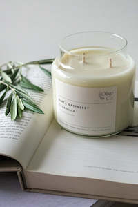 Candle: Black Raspberry & Vanilla