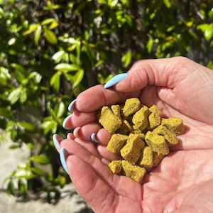 Moggy Daily Love Nuggets  - SAMPLE SIZE TASTER