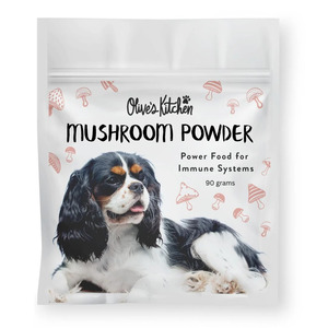 Supplement: Dog Mushroom Powder - 90gms | Turkey Tail