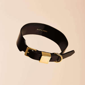 Frontpage: Sable Dog Collar & Lead Set
