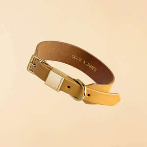 Camel Dog Collar & Lead Set