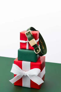Italian Leather Dog Collar – Forest - SECONDS SALE