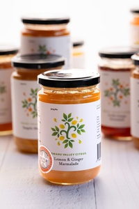 Products: Lemon & Ginger Marmalade – Warming Artisan Preserve from NZ