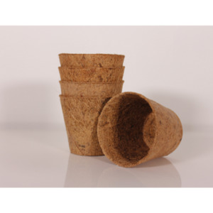 Products: Coir Pots Omino