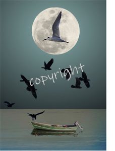 Products: Turning Point- Fran Maguire (Copy)