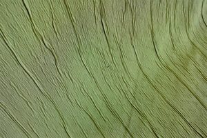Products: Delta Willow