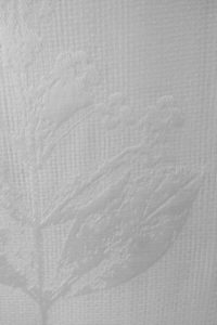 Products: Zephyr Extra Wide