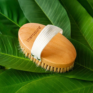 Therapure- Ionic dry body brush