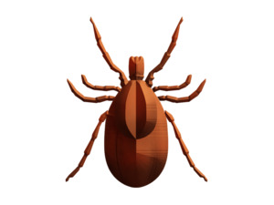 VIbrant Labs- Tickborne Complete 2.0 panel (excludes Lab fee_