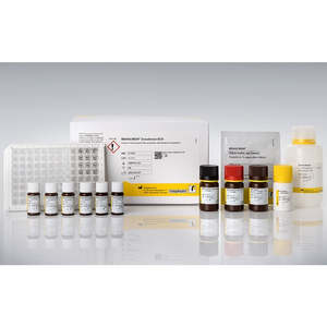 Food Beverage Testing: RIDASCREEN® Zearalenon ECO