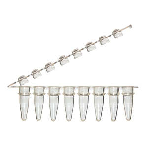Scientific Specialties Inc: 8-Strip Tubes with Hinged Attached Dome Caps, Clear