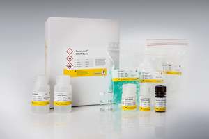 SureFood® PREP Basic (en)