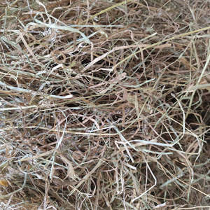 Feed And Hay: Orchard Hay (Cocksfoot Grass)