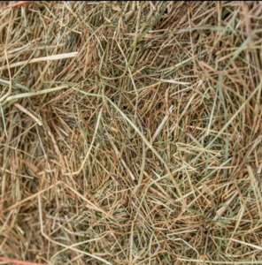 Feed And Hay: Compressed Meadow
