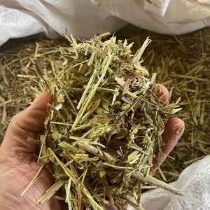 Lucerne Hay Chaff