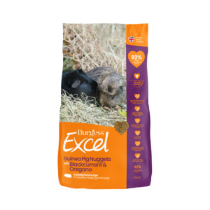 Pet Food And Treats: Burgess Excel Guinea Pig Nuggets with Blackcurrant & Oregano 100g SAMPLE BAG