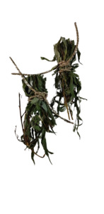 Rats And Mice: BOBO Willow Twist 2 Pack