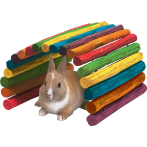 Tropical Fiddle Sticks - large