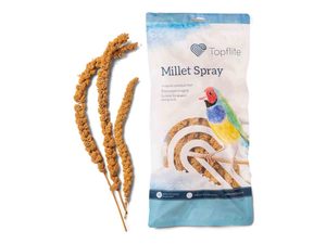 Bird Supplies: Millet Spray 10 pack