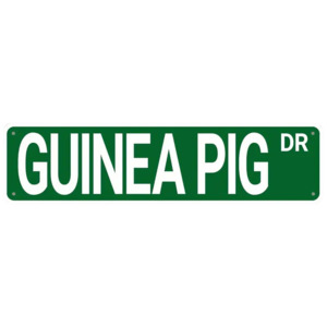 Guinea Pig Dr Sign
